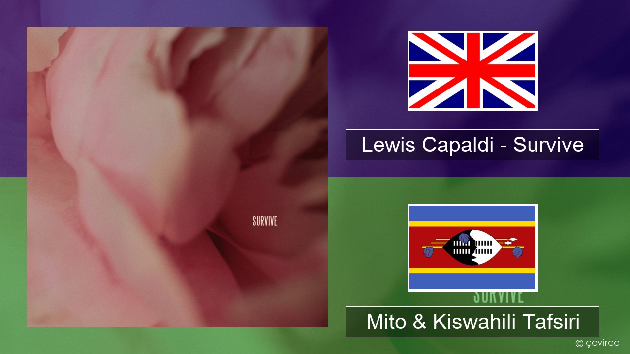 Lewis Capaldi – Survive Englishen Mito & Kiswahili Tafsiri