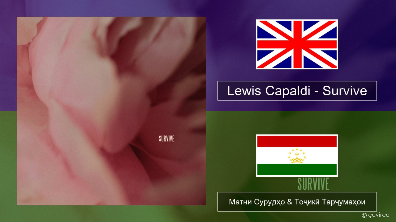 Lewis Capaldi – Survive English Матни Сурудҳо & Тоҷикӣ Тарҷумаҳои