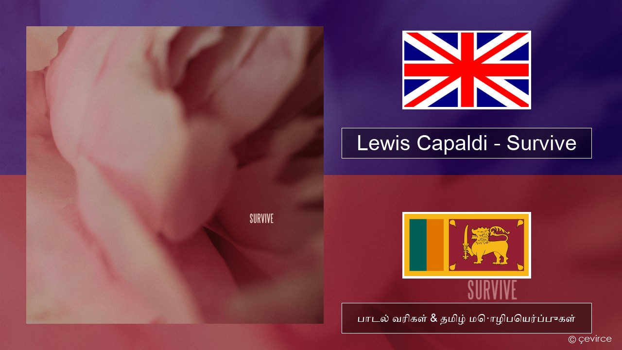 Lewis Capaldi – Survive தமிழ் பாடல் வரிகள் & தமிழ் மொழிபெயர்ப்புகள்