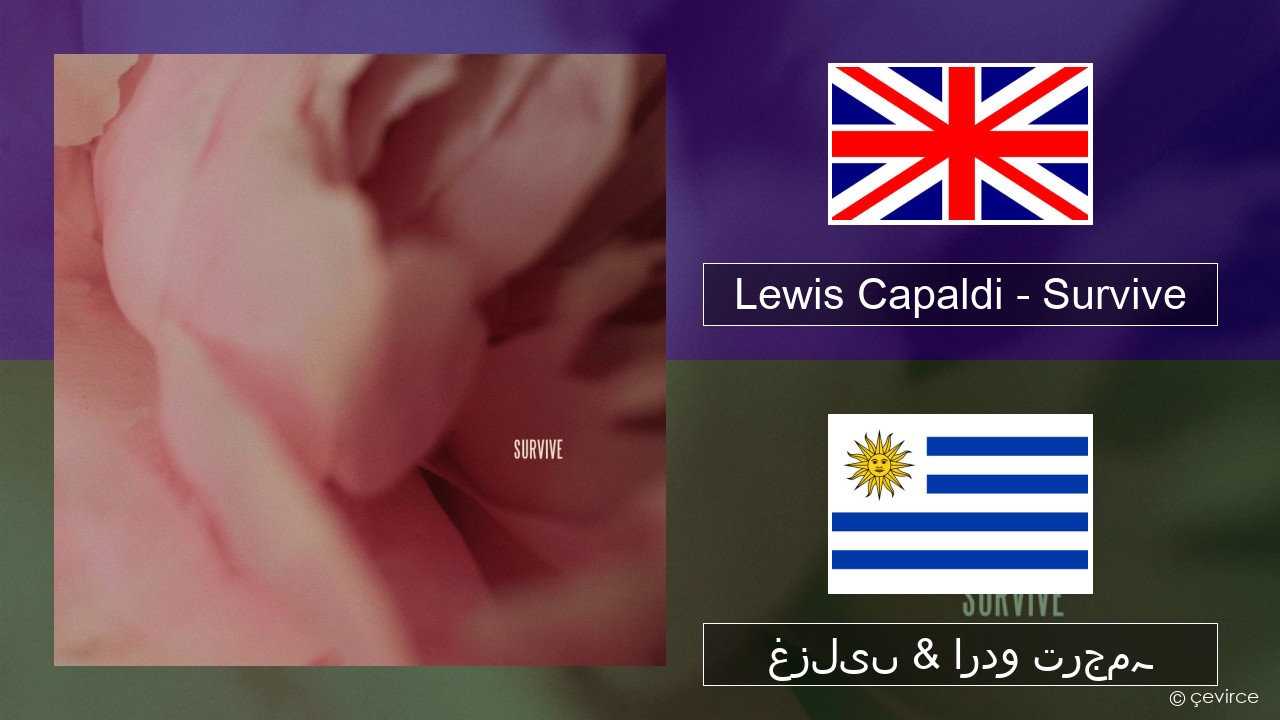 Lewis Capaldi – Survive انگریزی غزلیں & اردو ترجمہ