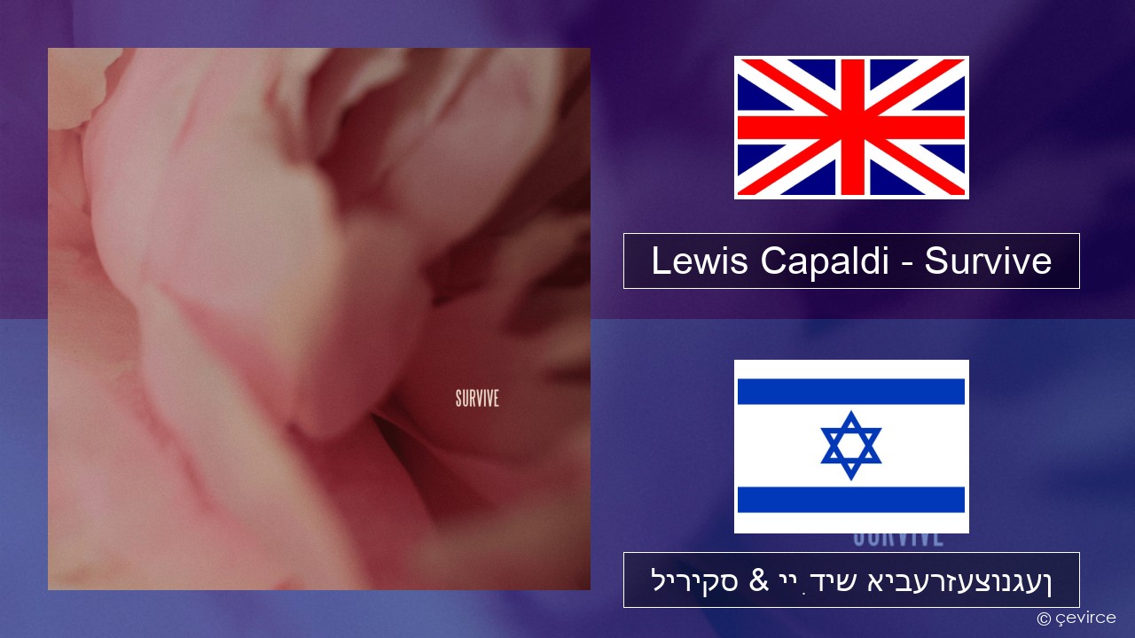 Lewis Capaldi – Survive ענגליש ליריקס & ייִדיש איבערזעצונגען