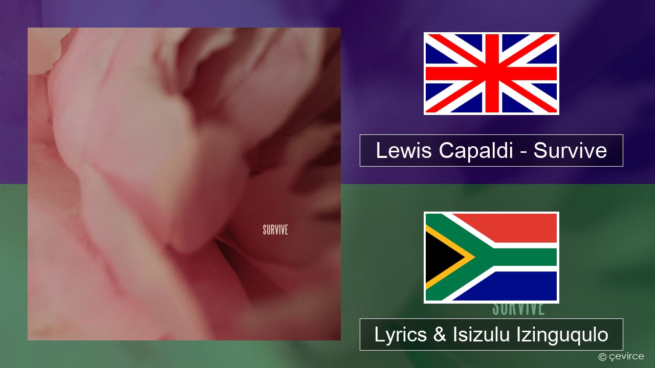 Lewis Capaldi – Survive Isizulu Lyrics & Isizulu Izinguqulo