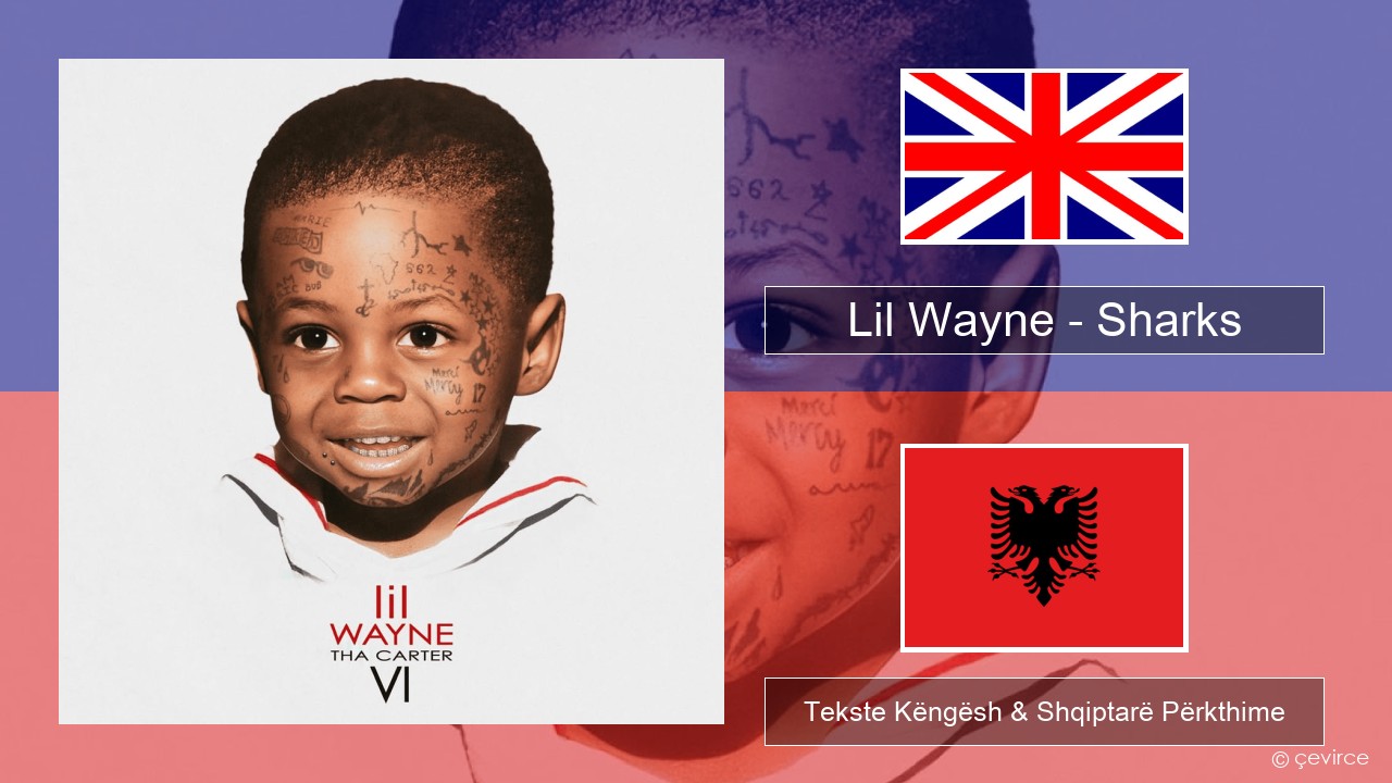 Lil Wayne – Sharks Anglisht Tekste Këngësh & Shqiptarë Përkthime