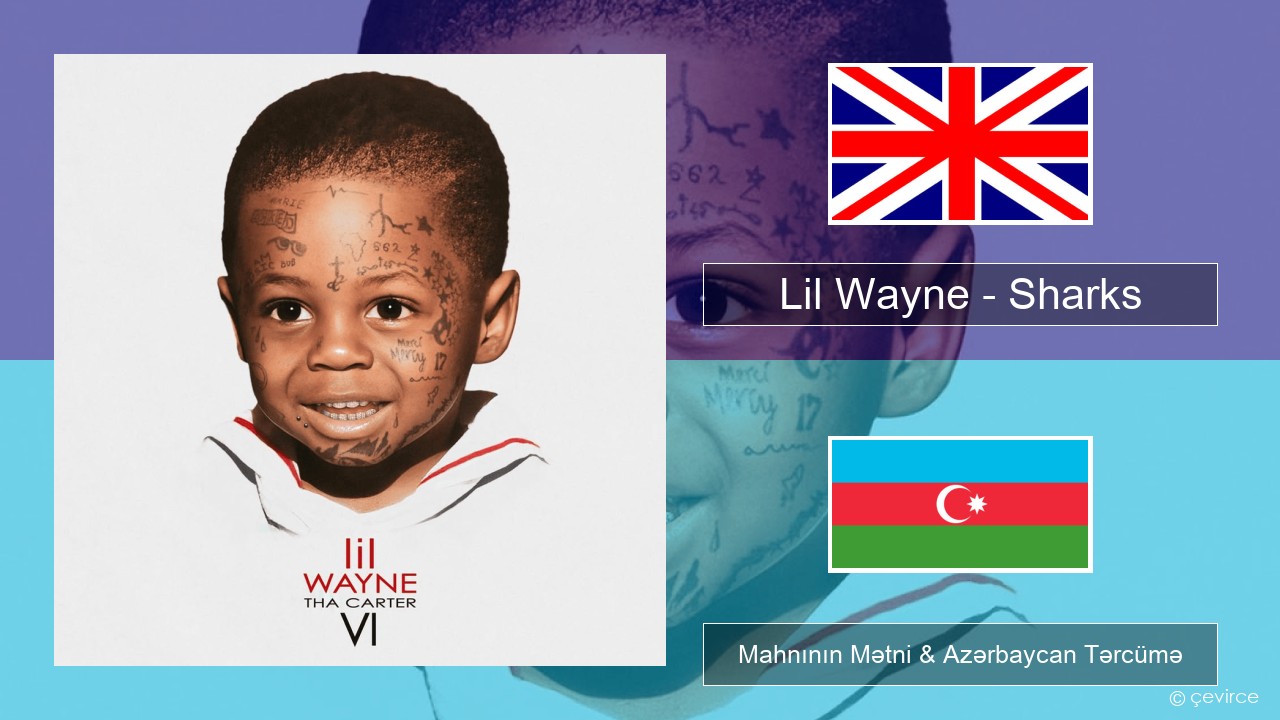 Lil Wayne – Sharks İngilis dili Mahnının Mətni & Azərbaycan Tərcümə