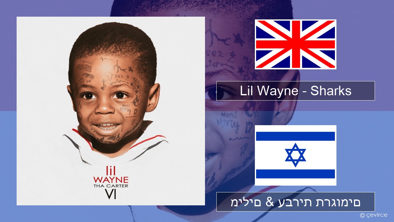 Lil Wayne – Sharks אנגלית מילים & עברית תרגומים