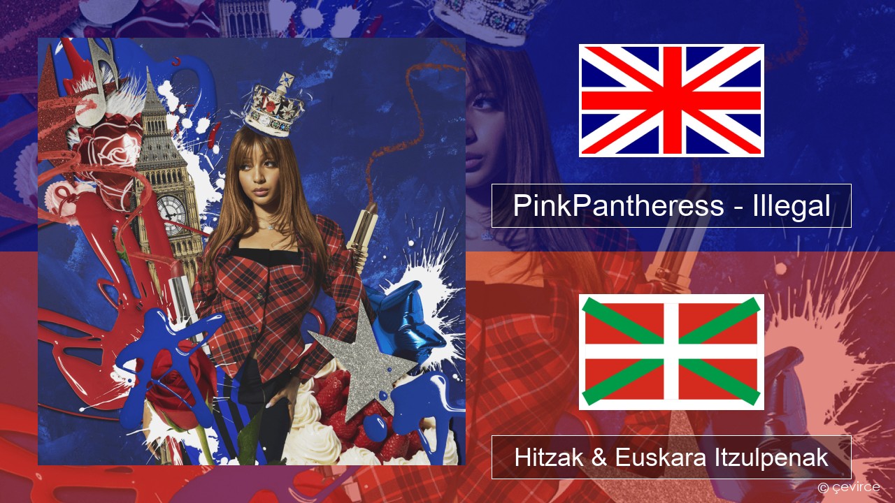 PinkPantheress – Illegal Ingelesa Hitzak & Euskara Itzulpenak