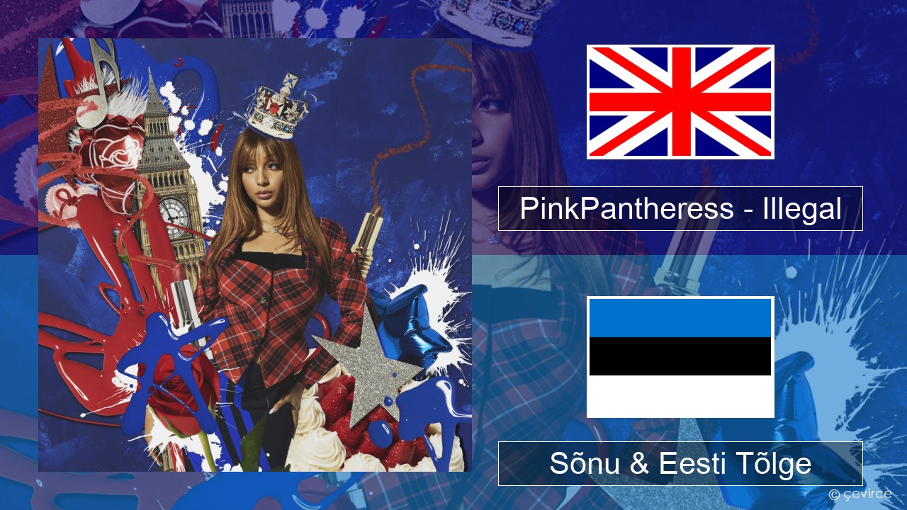 PinkPantheress – Illegal Inglise Sõnu & Eesti Tõlge