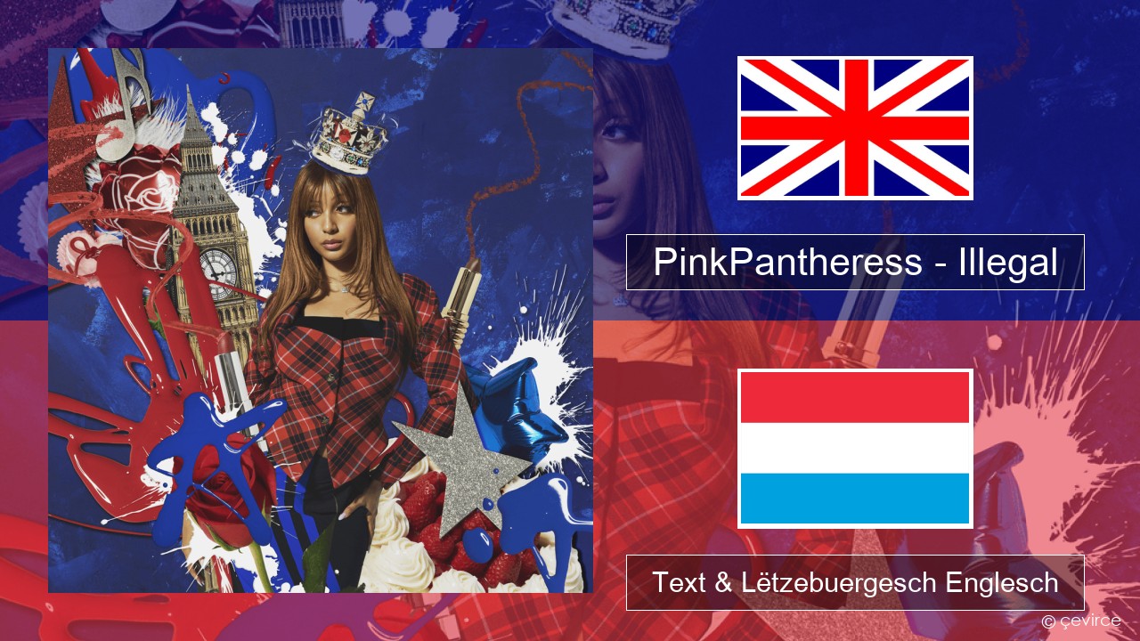 PinkPantheress – Illegal Englisch Text & Lëtzebuergesch Englesch