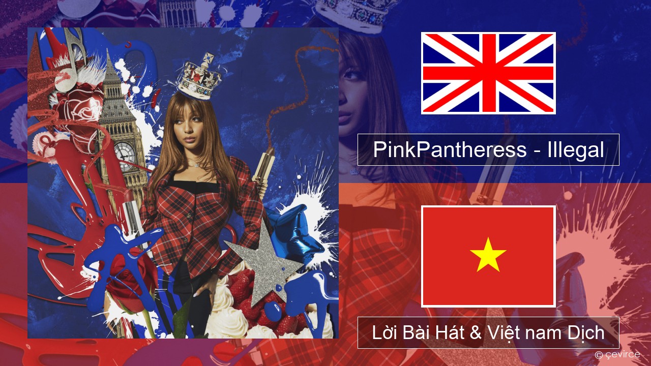 PinkPantheress – Illegal Tiếng anh Lời Bài Hát & Việt nam Dịch