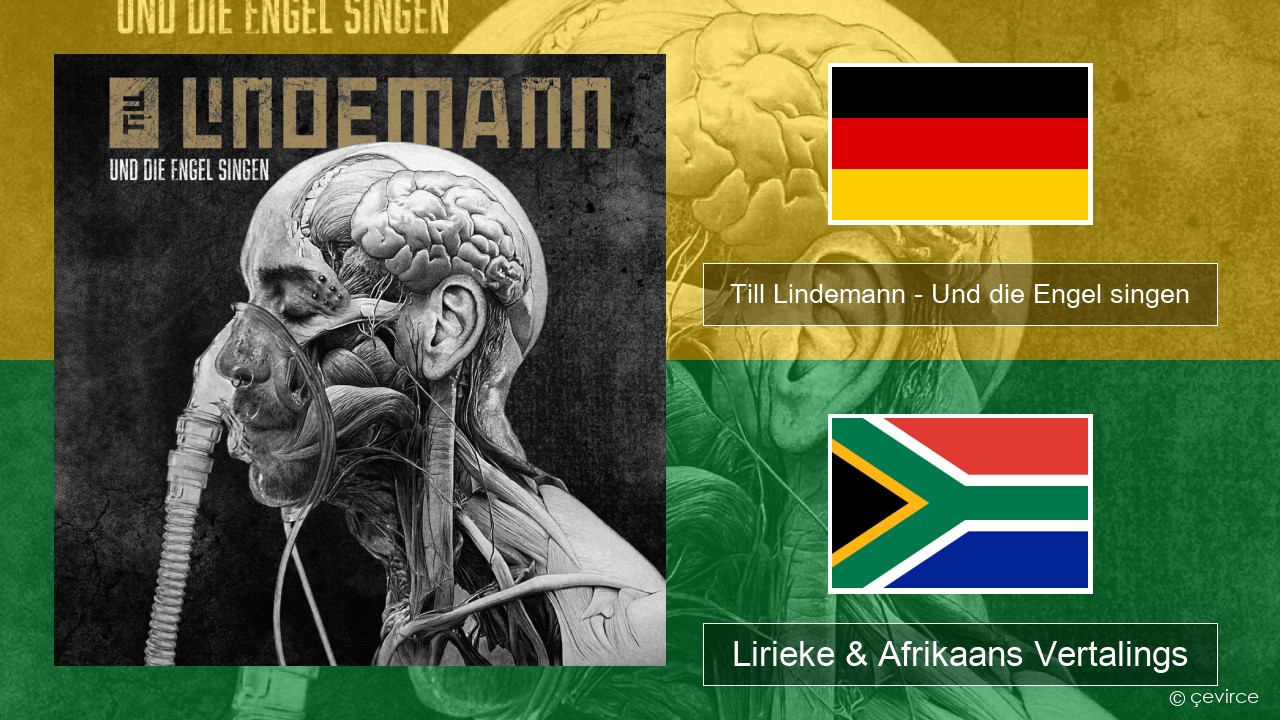 Till Lindemann – Und die Engel singen Duits Lirieke & Afrikaans Vertalings