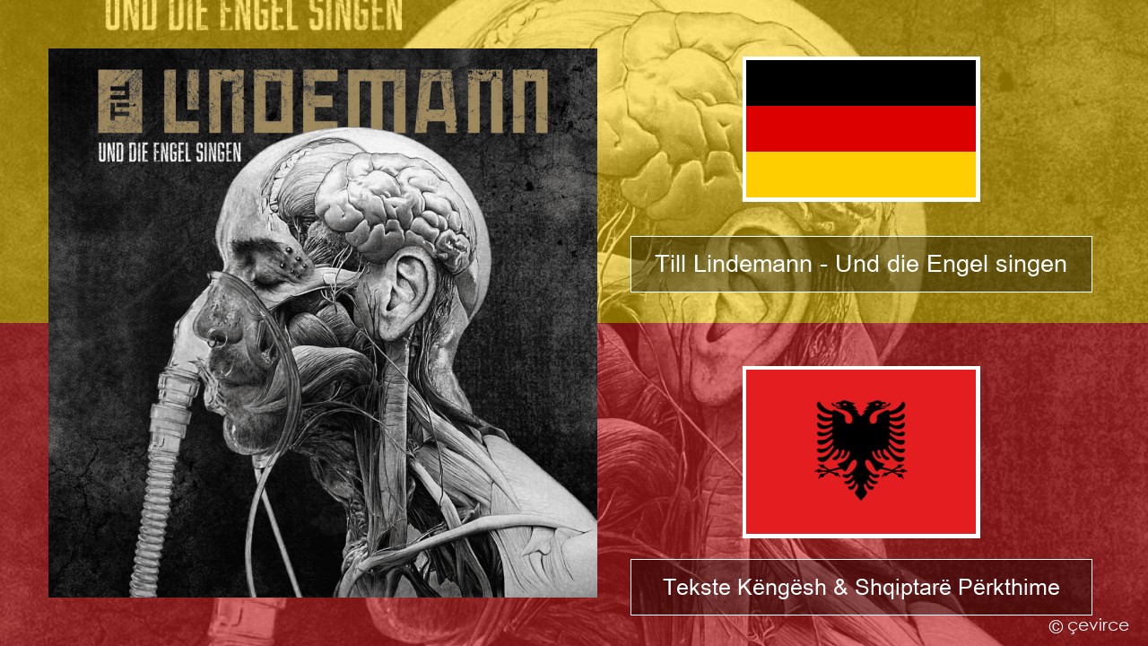 Till Lindemann – Und die Engel singen Gjermane Tekste Këngësh & Shqiptarë Përkthime