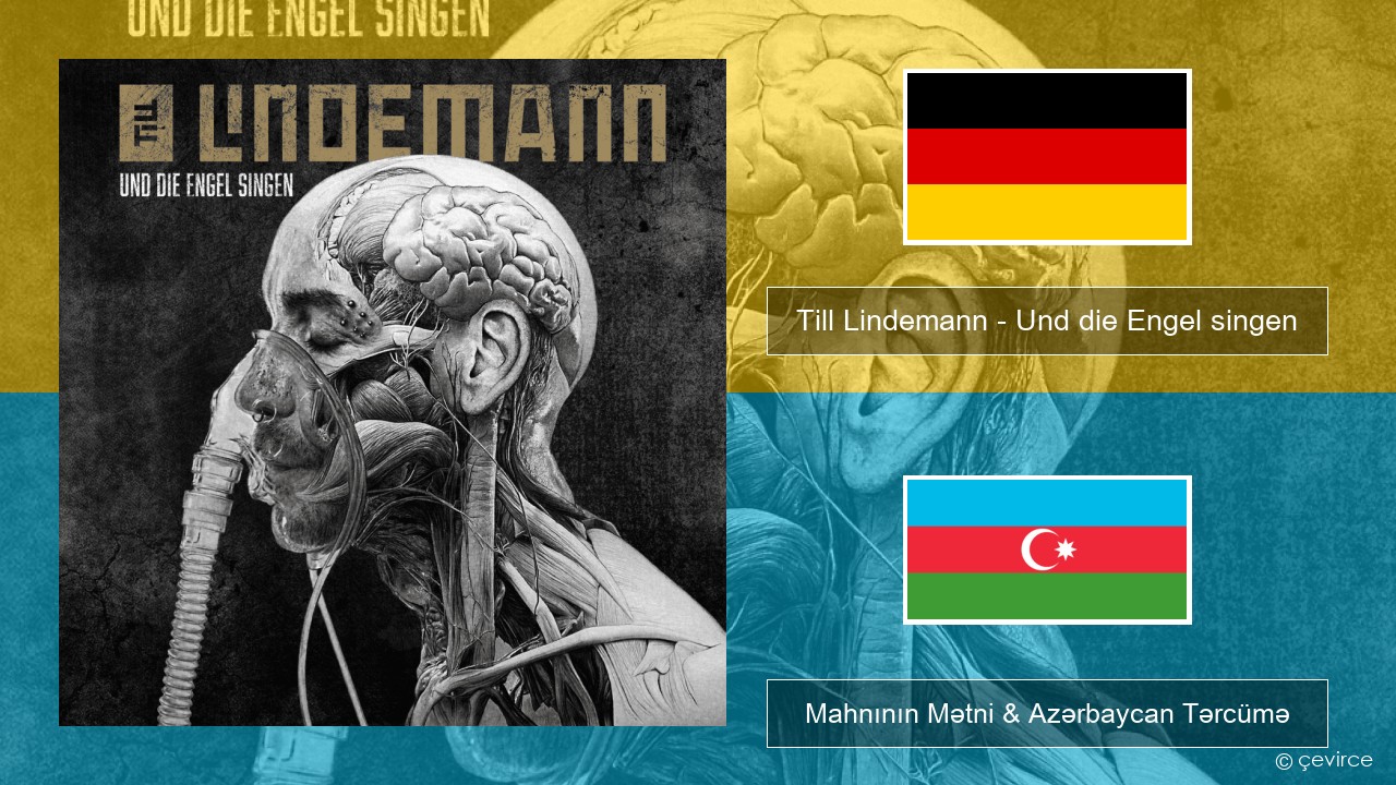 Till Lindemann – Und die Engel singen Alman Mahnının Mətni & Azərbaycan Tərcümə