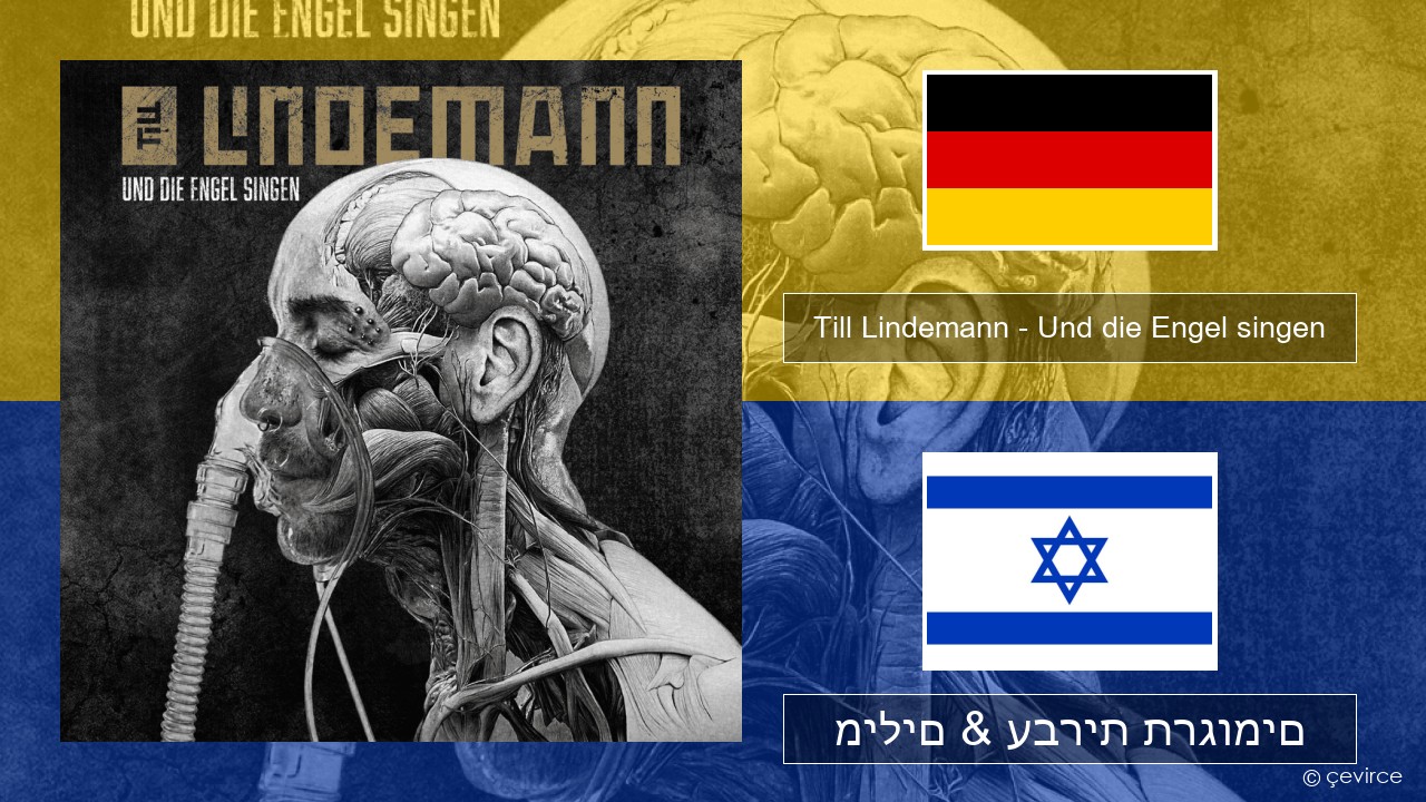 Till Lindemann – Und die Engel singen גרמנית מילים & עברית תרגומים