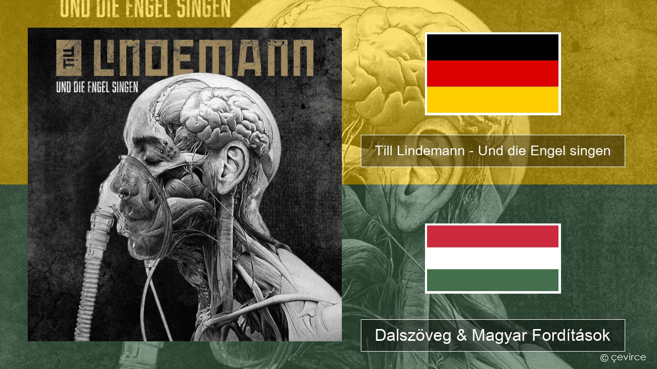 Till Lindemann – Und die Engel singen Német Dalszöveg & Magyar Fordítások