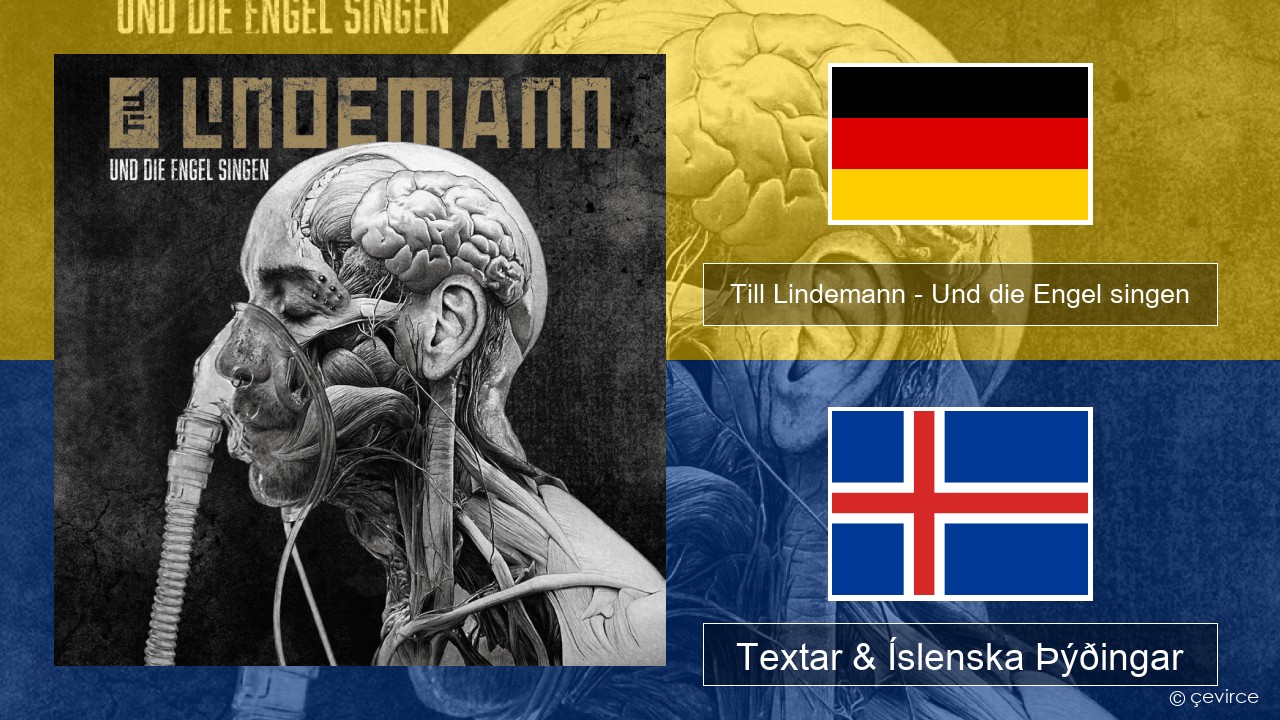 Till Lindemann – Und die Engel singen Þýska Textar & Íslenska Þýðingar