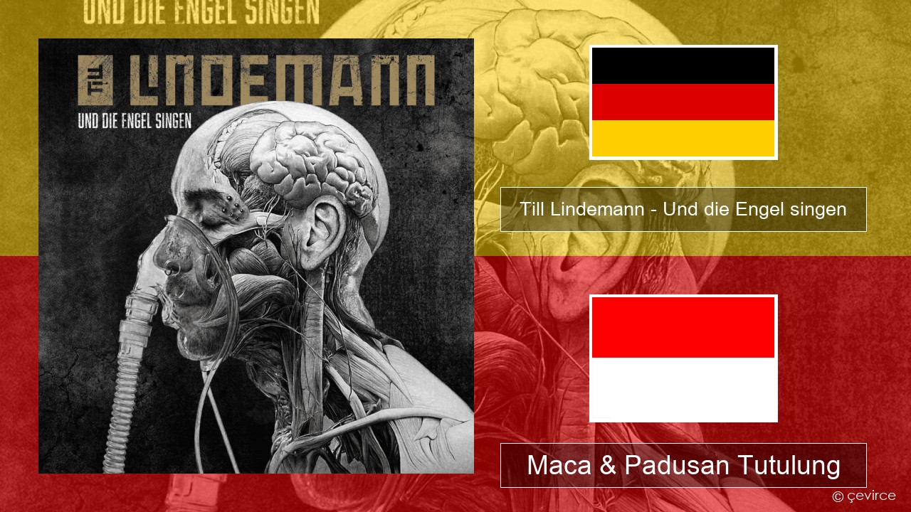 Till Lindemann – Und die Engel singen Kolibri Maca & Padusan Tutulung