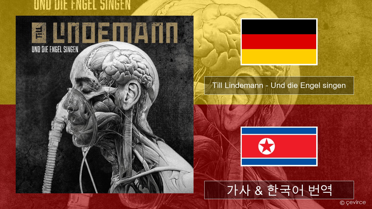 Till Lindemann – Und die Engel singen 독일 가사 & 한국어 번역