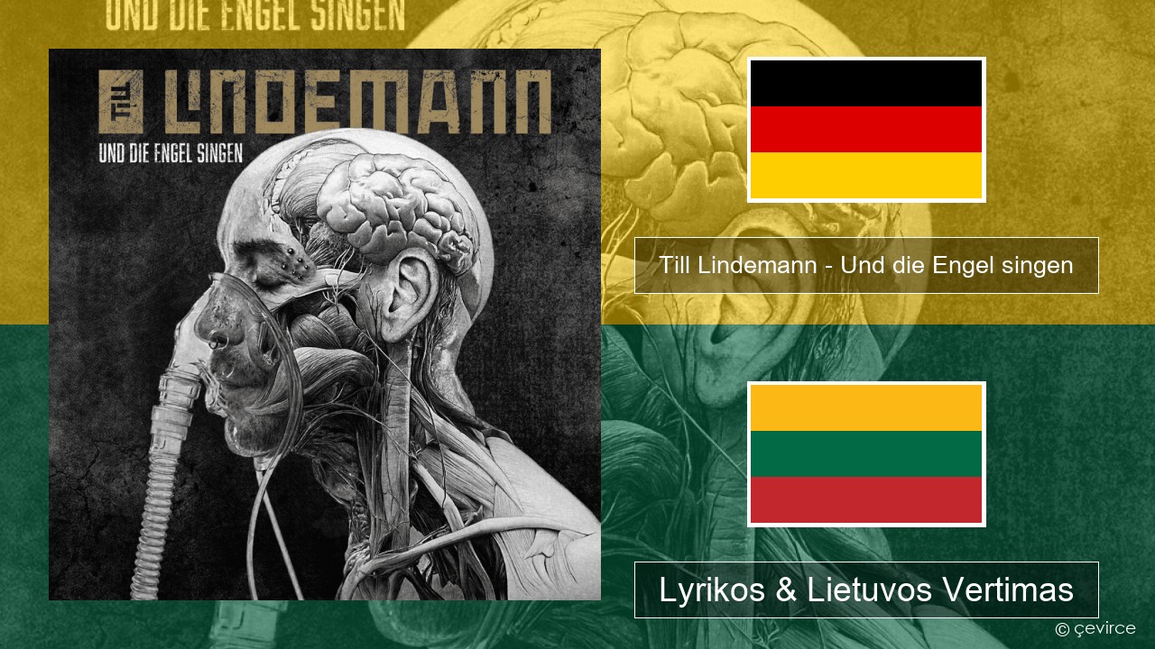 Till Lindemann – Und die Engel singen Vokietija Lyrikos & Lietuvos Vertimas