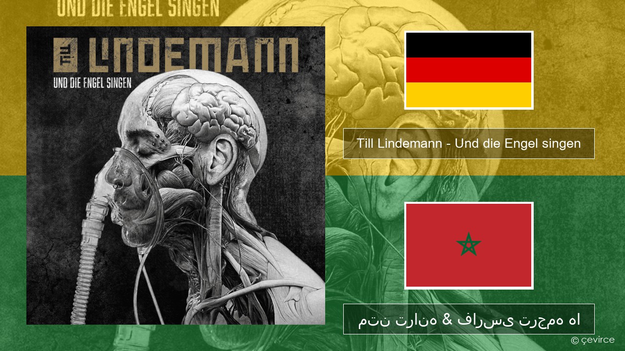 Till Lindemann – Und die Engel singen المانی متن ترانه & فارسی ترجمه ها