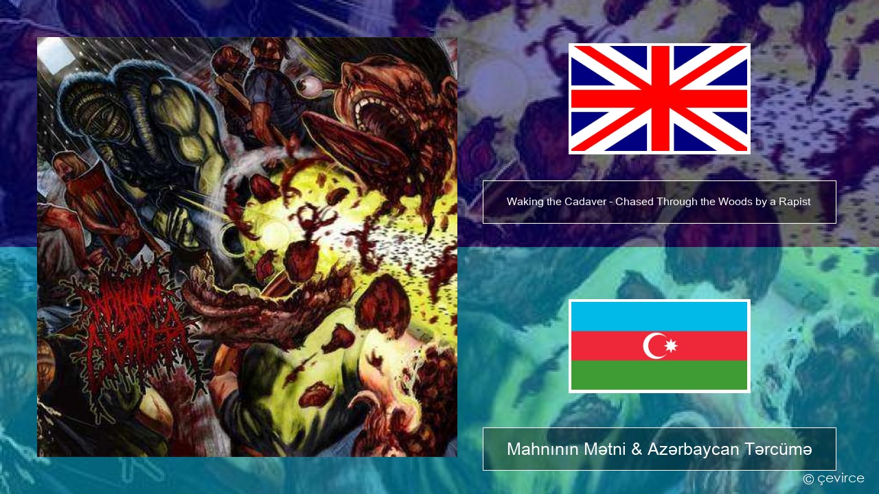 Waking the Cadaver – Chased Through the Woods by a Rapist İngilis dili Mahnının Mətni & Azərbaycan Tərcümə