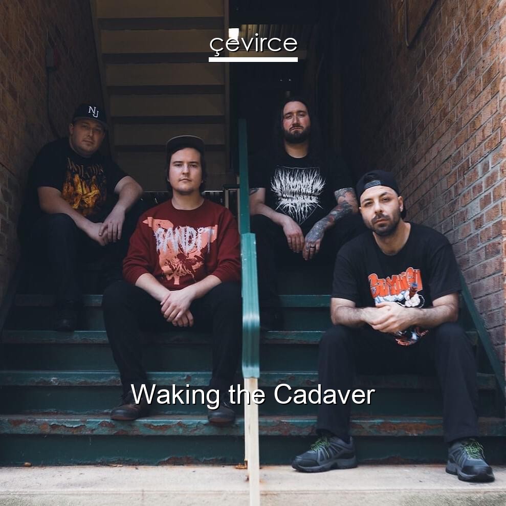 Waking the Cadaver
