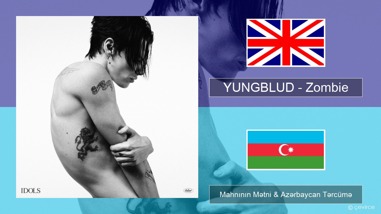 YUNGBLUD – Zombie İngilis dili Mahnının Mətni & Azərbaycan Tərcümə