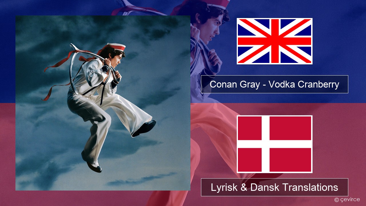 Conan Gray – Vodka Cranberry Engelsk Lyrisk & Dansk Translations