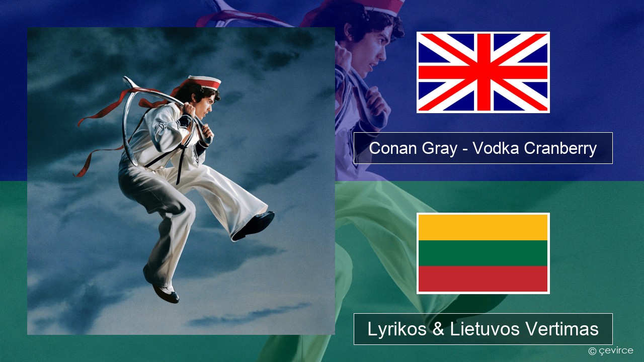 Conan Gray – Vodka Cranberry Anglų Lyrikos & Lietuvos Vertimas