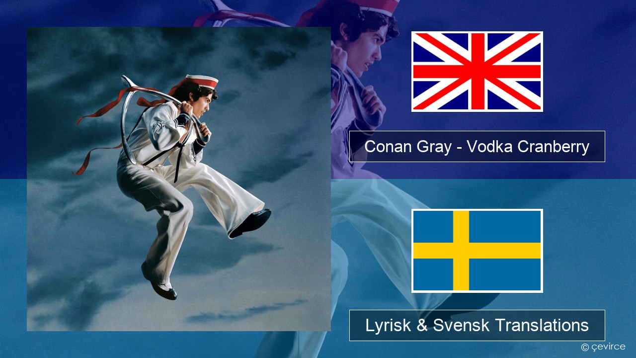 Conan Gray – Vodka Cranberry Engelsk Lyrisk & Svensk Translations