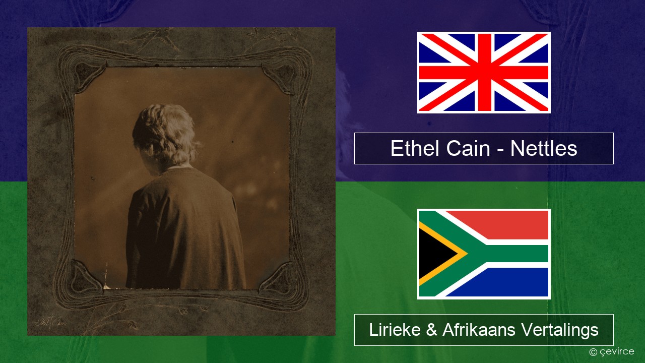 Ethel Cain – Nettles Engels Lirieke & Afrikaans Vertalings