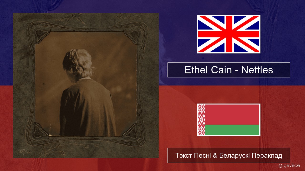 Ethel Cain – Nettles Англійскі Тэкст Песні & Беларускі Пераклад