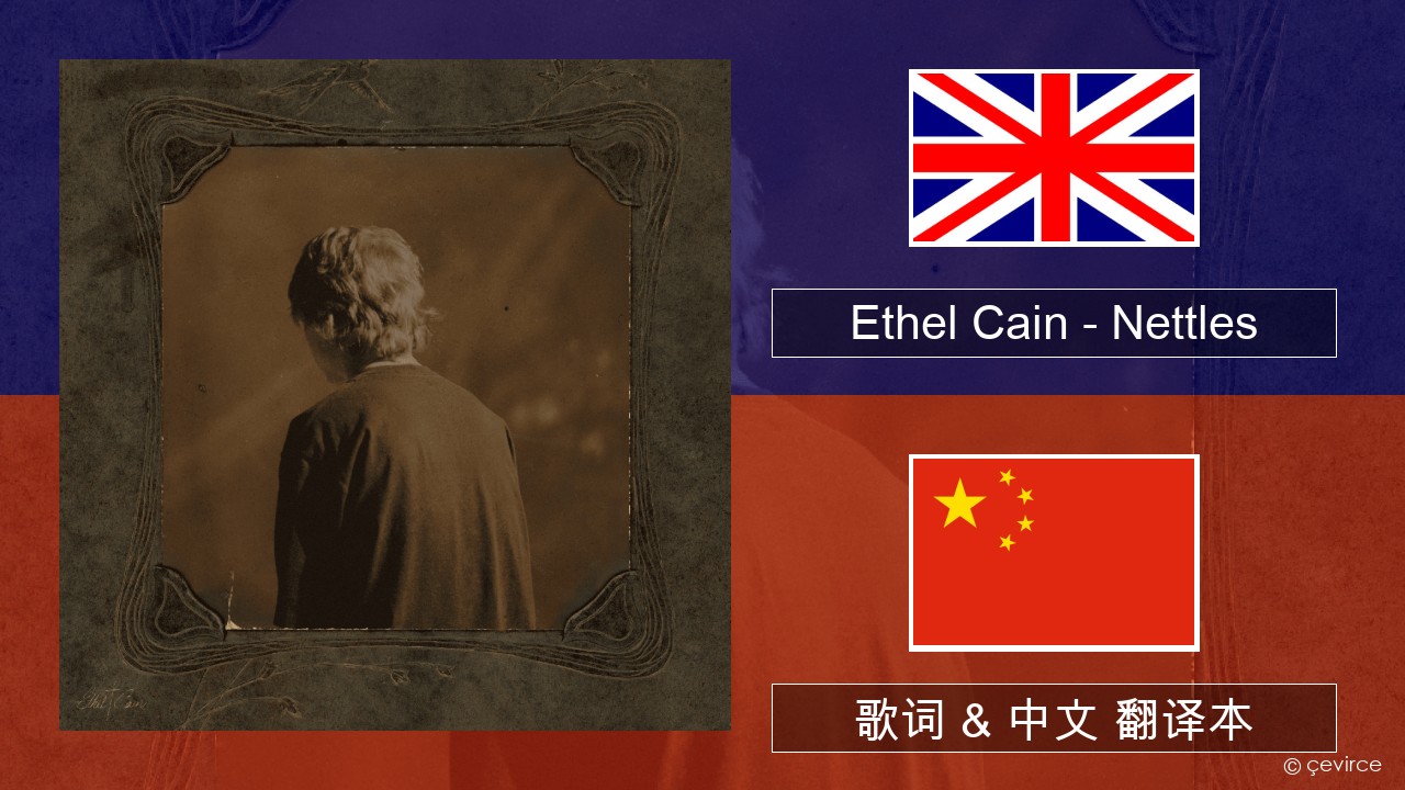Ethel Cain – Nettles 英语 歌词 & 中文 翻译本