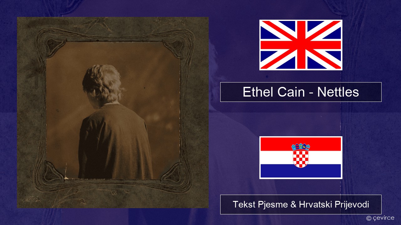 Ethel Cain – Nettles Engleski Tekst Pjesme & Hrvatski Prijevodi