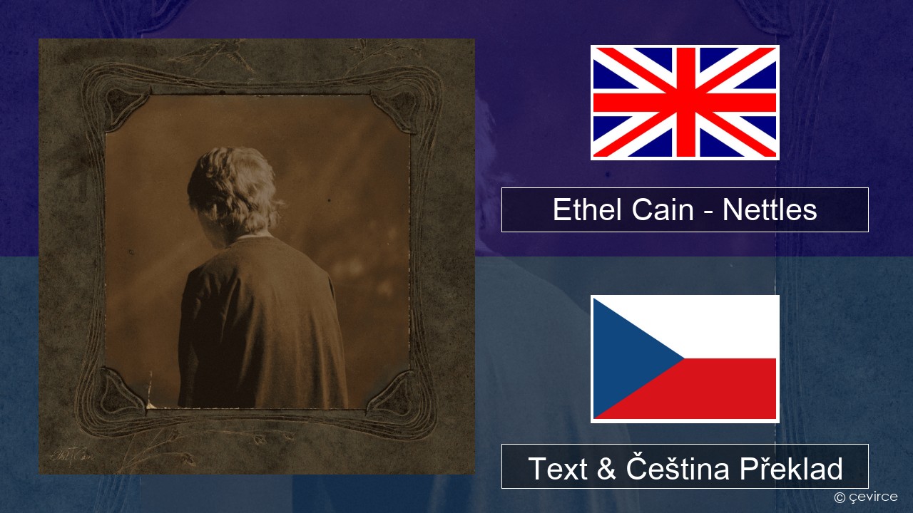 Ethel Cain – Nettles Anglický Text & Čeština Překlad