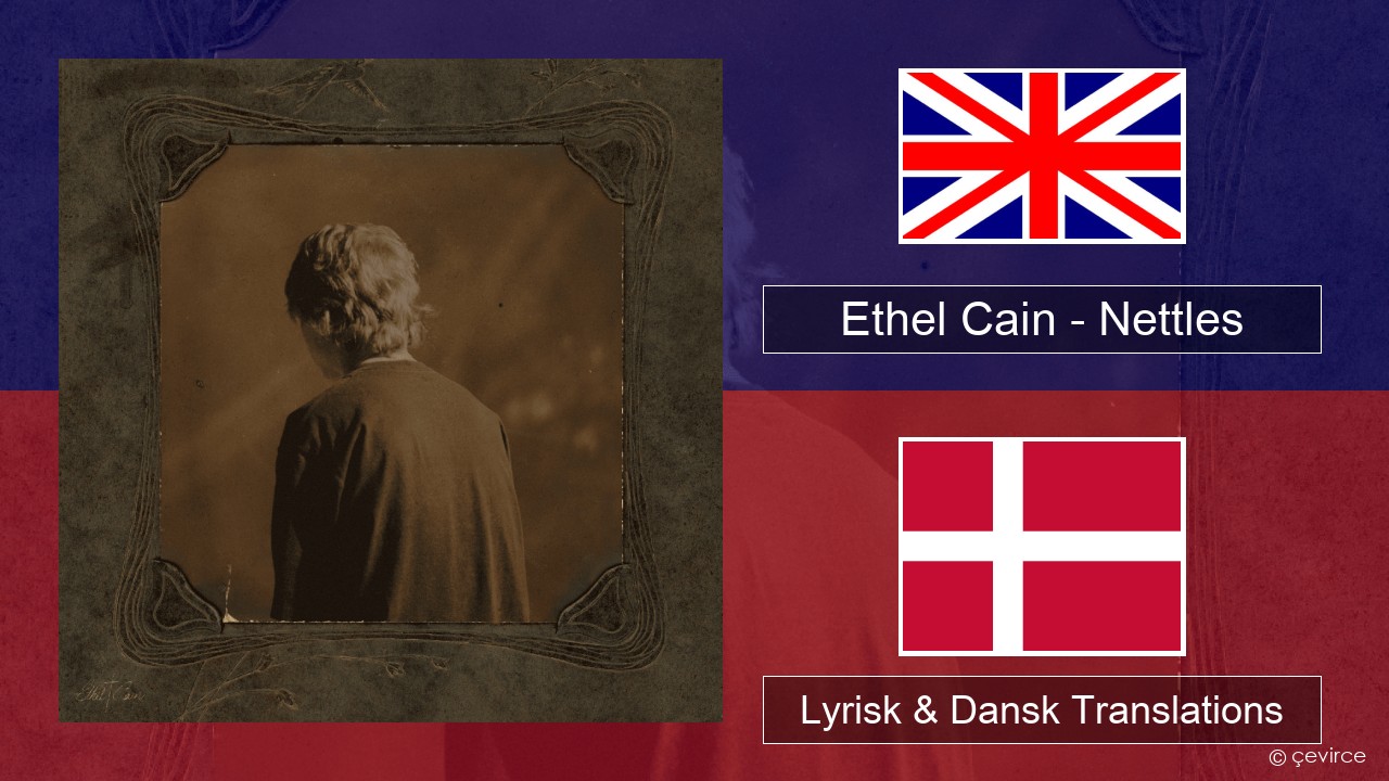 Ethel Cain – Nettles Engelsk Lyrisk & Dansk Translations