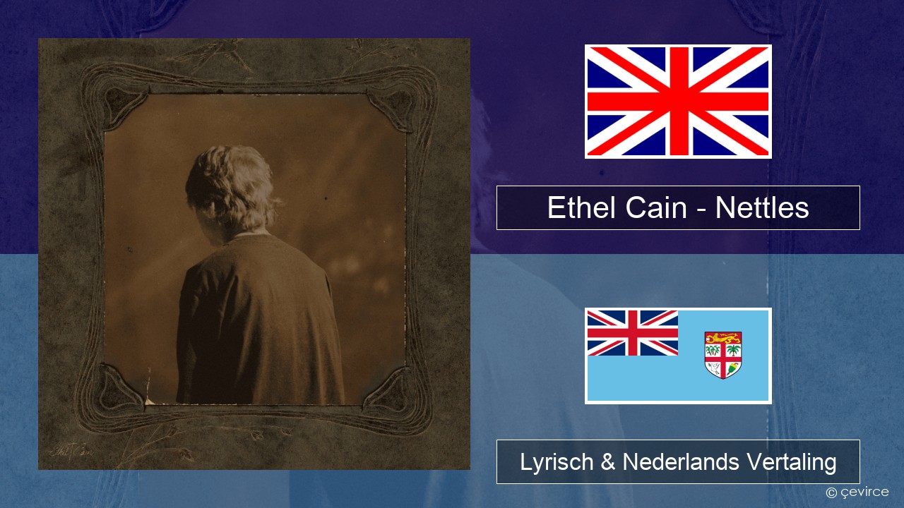 Ethel Cain – Nettles Engels Lyrisch & Nederlands Vertaling