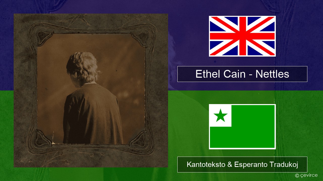 Ethel Cain – Nettles La angla Kantoteksto & Esperanto Tradukoj