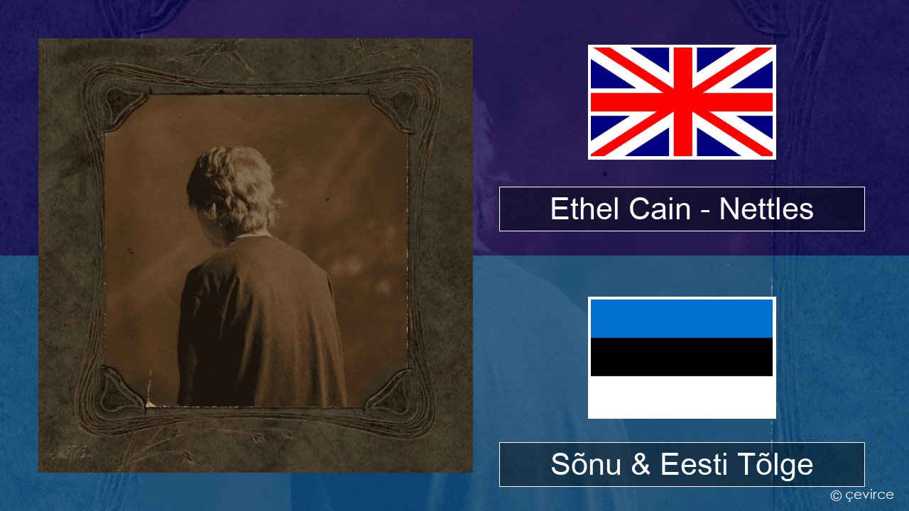 Ethel Cain – Nettles Inglise Sõnu & Eesti Tõlge