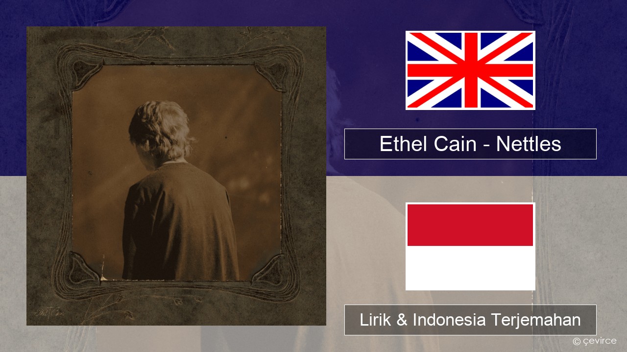 Ethel Cain – Nettles Bahasa Indonesia Lirik & Indonesia Terjemahan