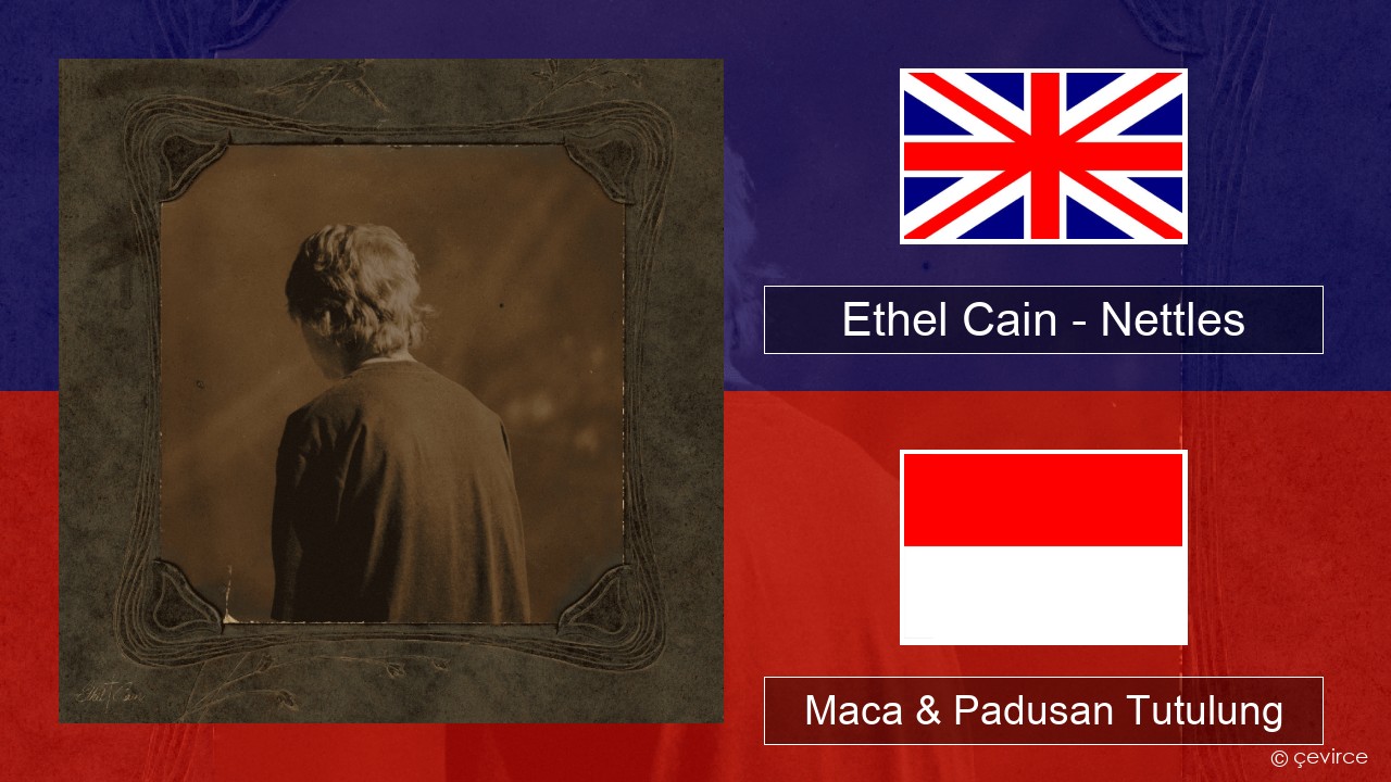 Ethel Cain – Nettles Sing Maca & Padusan Tutulung