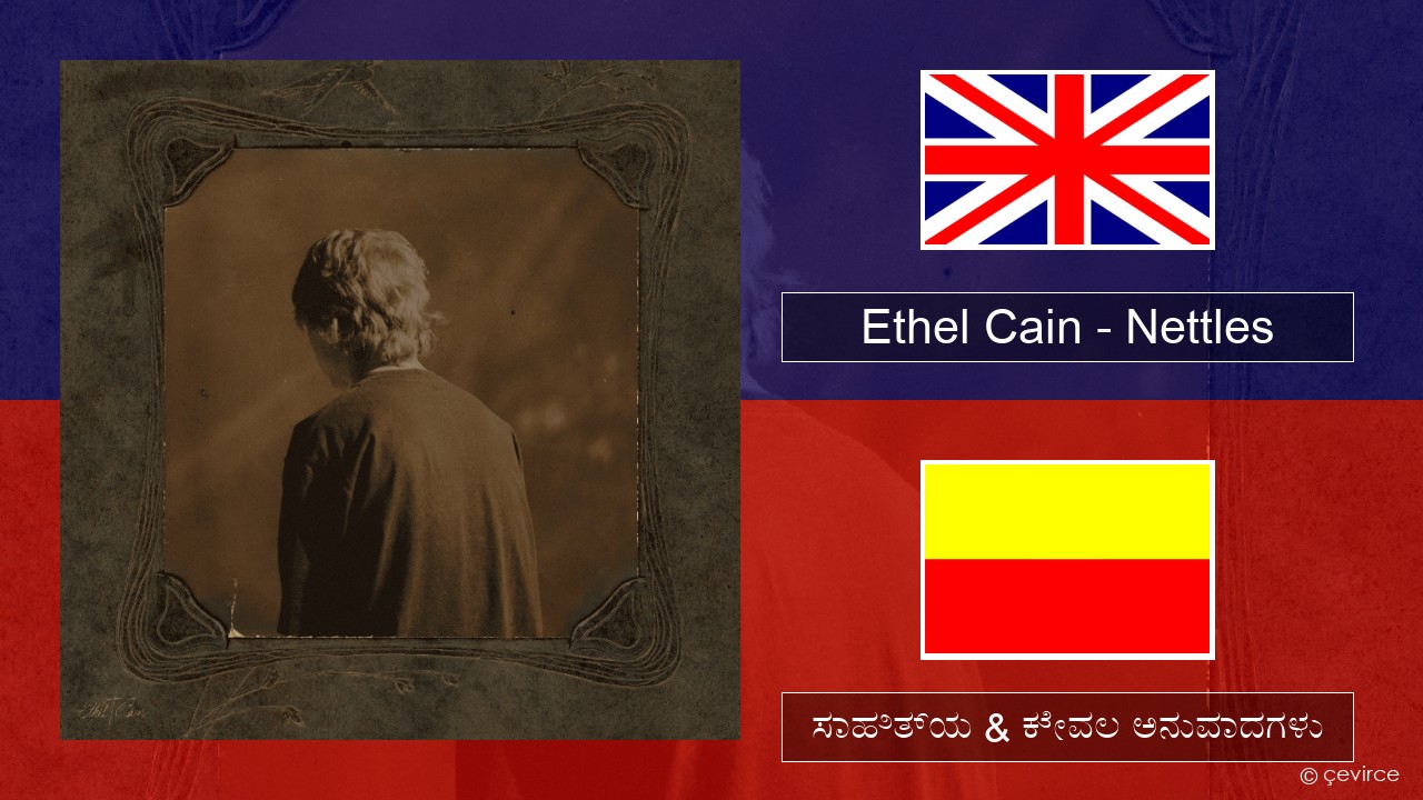 Ethel Cain – Nettles ಇಂಗ್ಲೀಷ್ ಸಾಹಿತ್ಯ & ಕೇವಲ ಅನುವಾದಗಳು