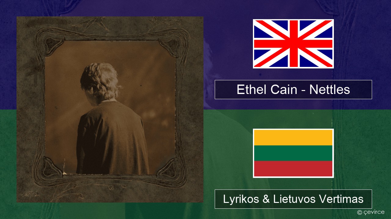 Ethel Cain – Nettles Anglų Lyrikos & Lietuvos Vertimas