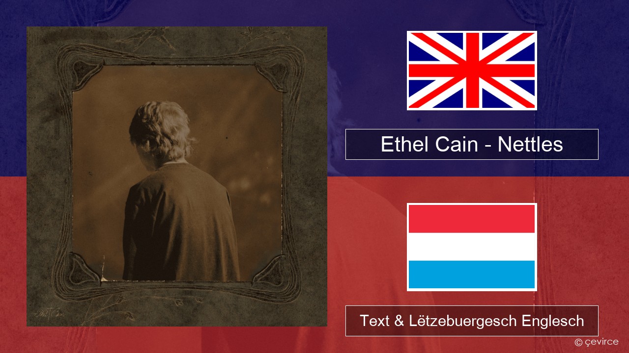 Ethel Cain – Nettles Englisch Text & Lëtzebuergesch Englesch