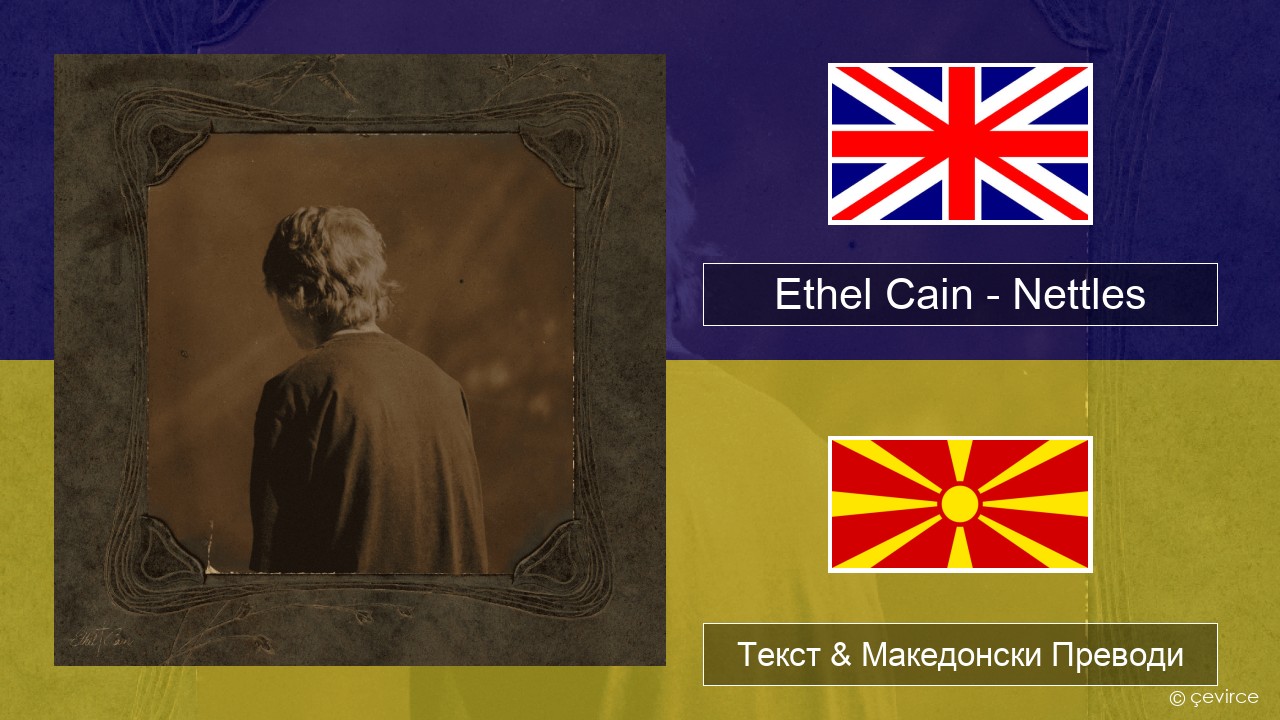 Ethel Cain – Nettles Англиски Текст & Македонски Преводи