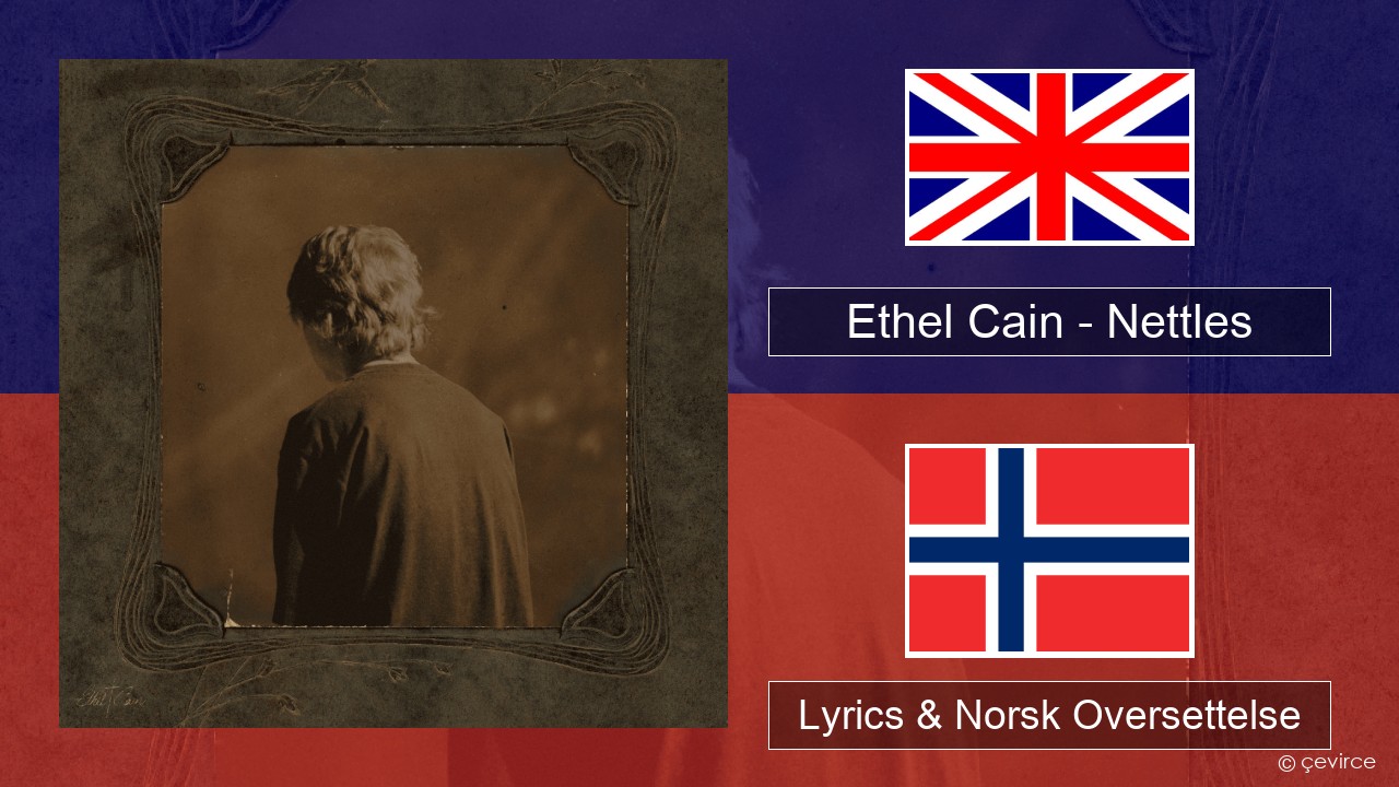 Ethel Cain – Nettles Engelsk Lyrics & Norsk Oversettelse