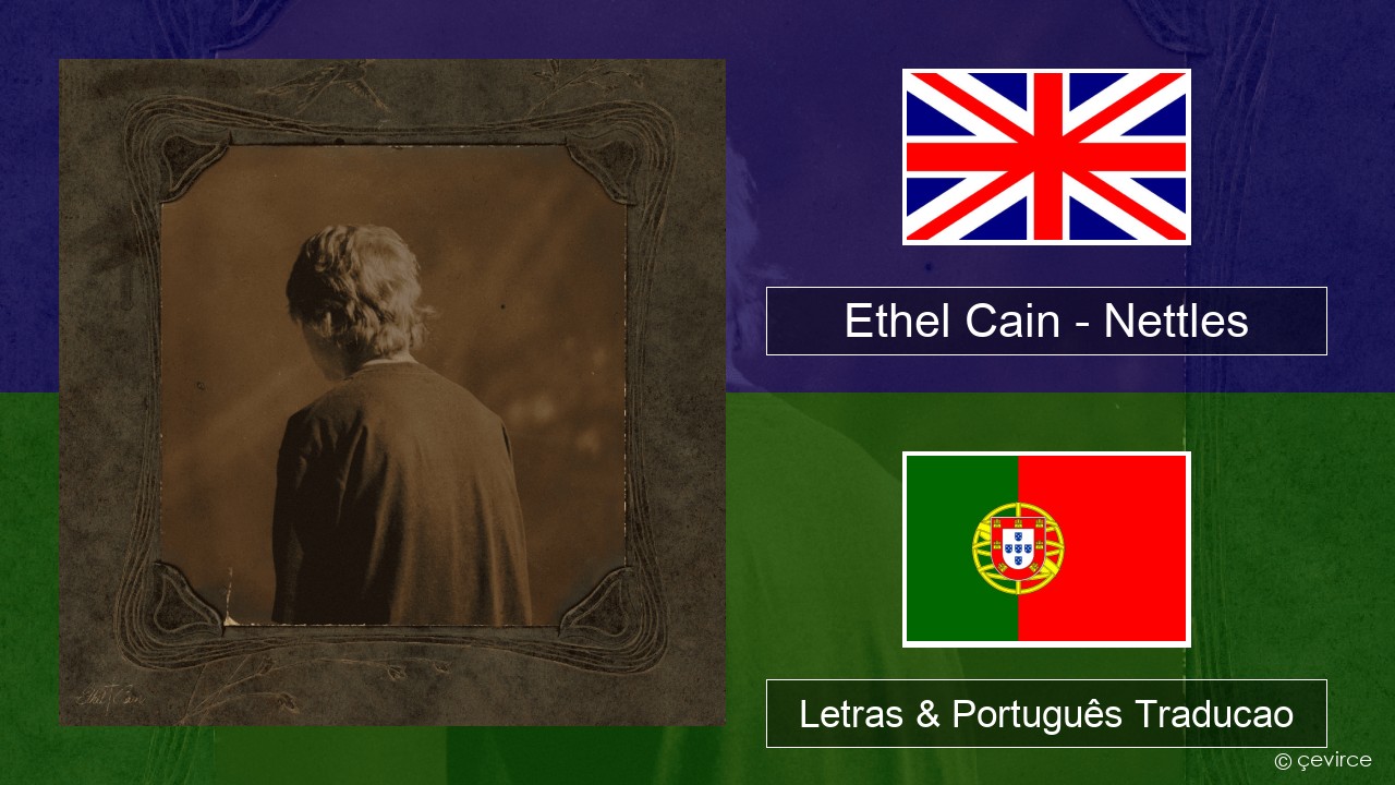 Ethel Cain – Nettles Inglês Letras & Português Traducao