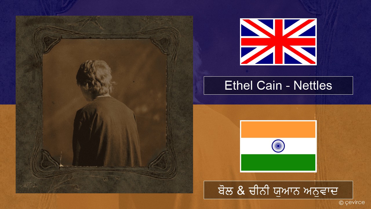 Ethel Cain – Nettles (ਈ-ਕਰੋਮ) ਬੋਲ & ਚੀਨੀ ਯੁਆਨ ਅਨੁਵਾਦ
