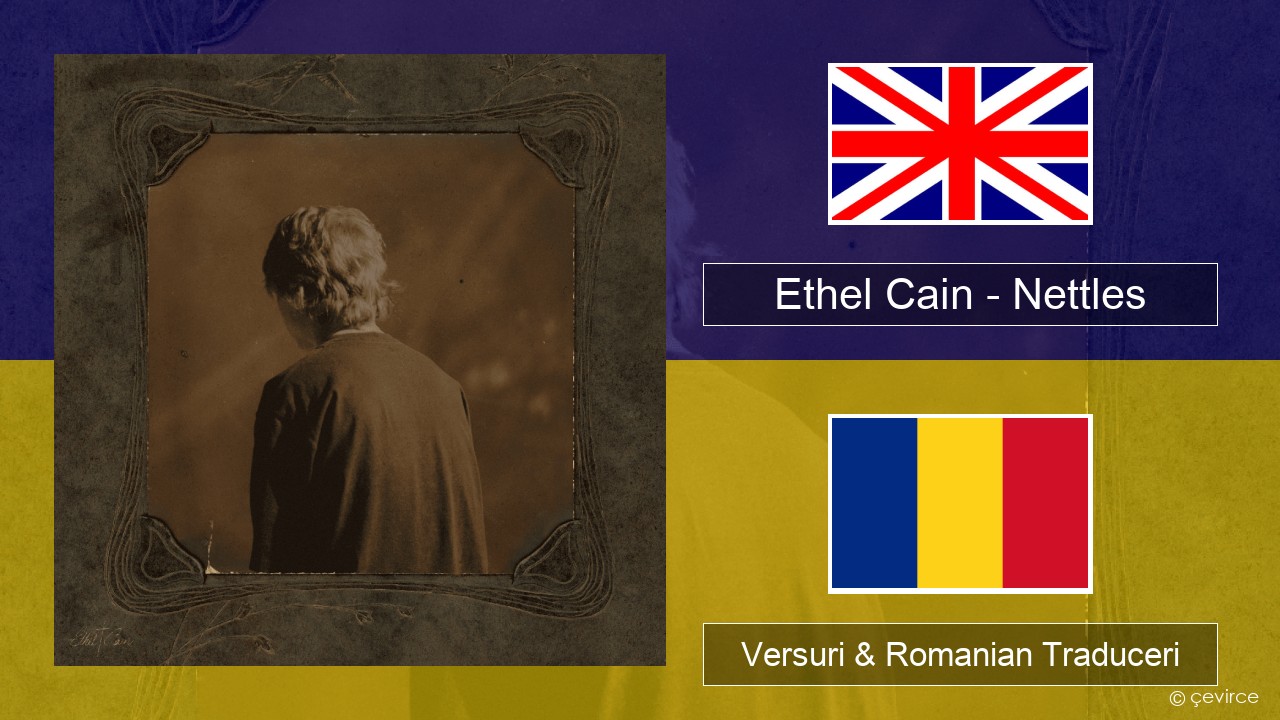 Ethel Cain – Nettles Română Versuri & Romanian Traduceri