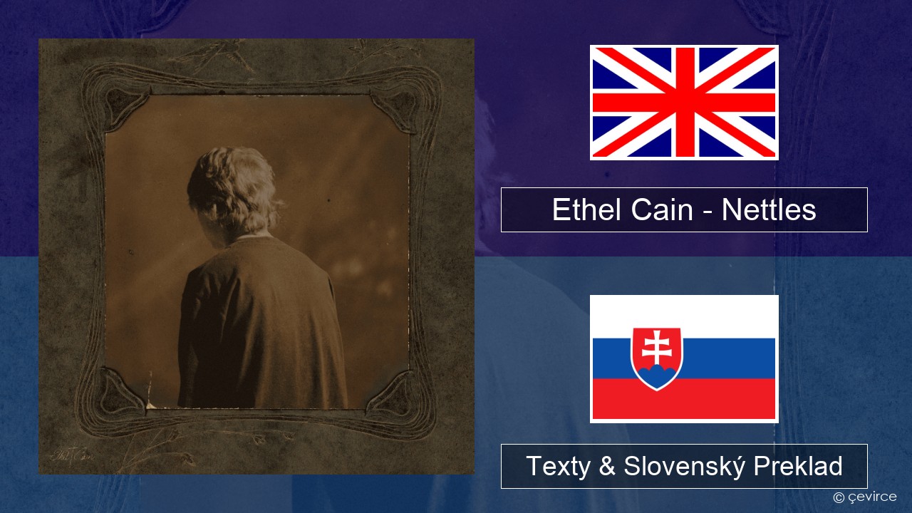 Ethel Cain – Nettles Anglický Texty & Slovenský Preklad