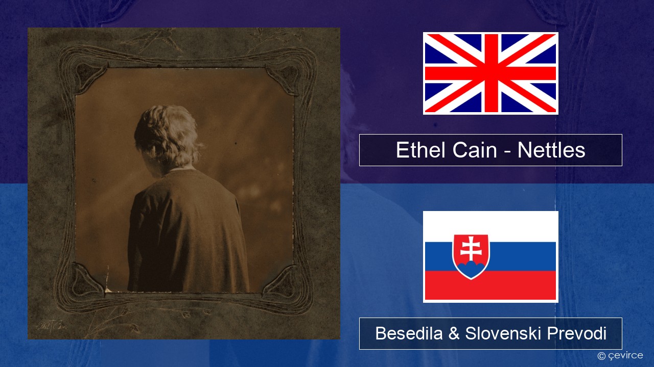 Ethel Cain – Nettles Slovenščina Besedila & Slovenski Prevodi